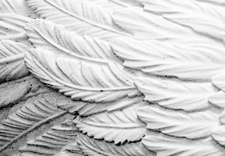 Quadro em tela Feathered Wings (5 Parts) Wide 142869 additionalImage 4