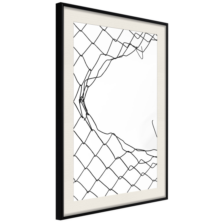 Poster Torn Net [Poster] 150569 additionalImage 14