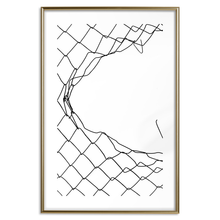 Poster Torn Net [Poster] 150569 additionalImage 16