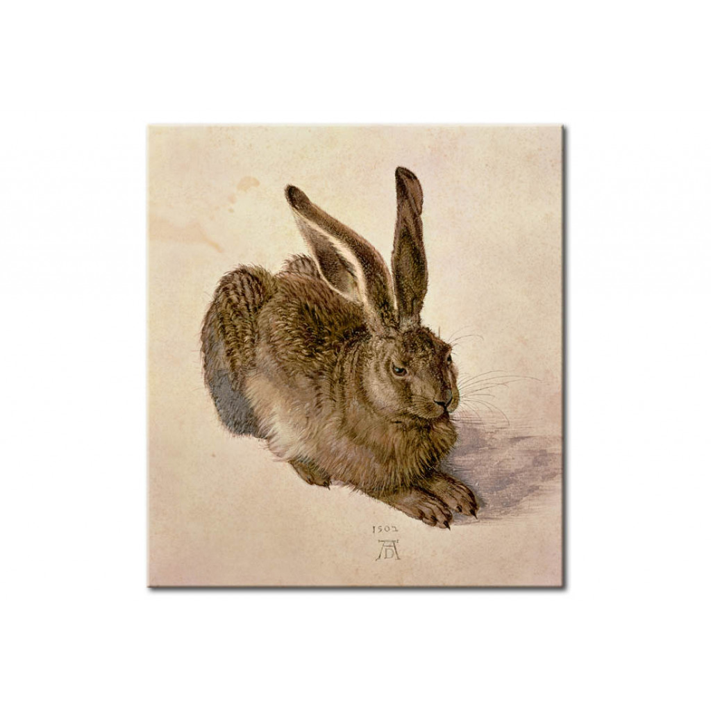Målning Hare