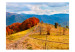 Wall Mural Carpathian Landscape - Autumn Mountain Landscape with Trees and Road 59969 additionalThumb 1