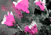 Obraz Bukiet kwiatów w wazonie - motyw z kwiatami w szarym i różowym kolorze 123079 additionalThumb 5