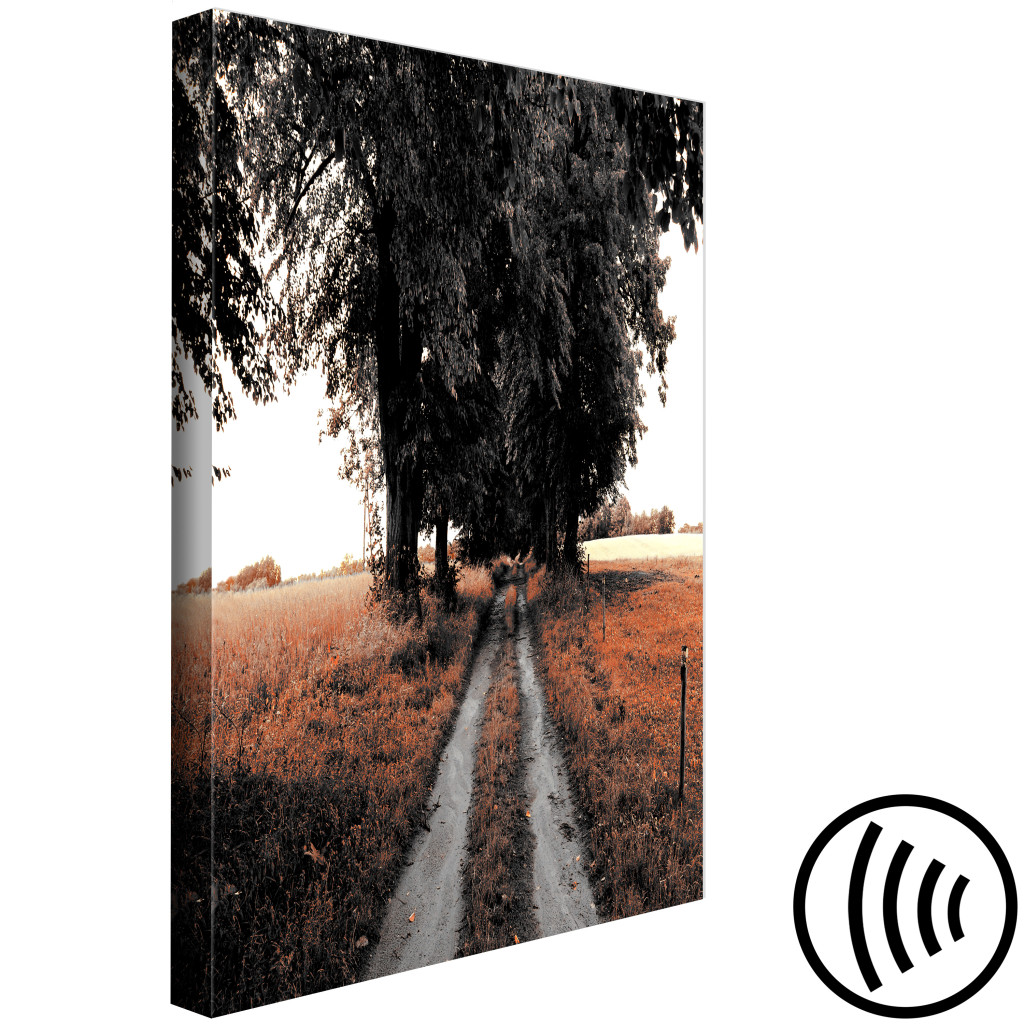 Obraz Wiejska ścieżka - Letni Pejzaż Z Polami Zboża, Drzewami I Topolami