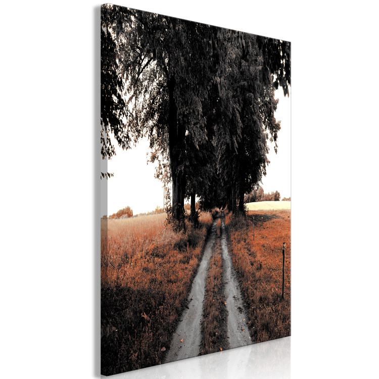 Obraz Wiejska ścieżka - letni pejzaż z polami zboża, drzewami i topolami 124379 additionalImage 2