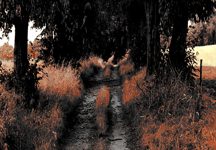 Obraz Wiejska ścieżka - letni pejzaż z polami zboża, drzewami i topolami 124379 additionalImage 4