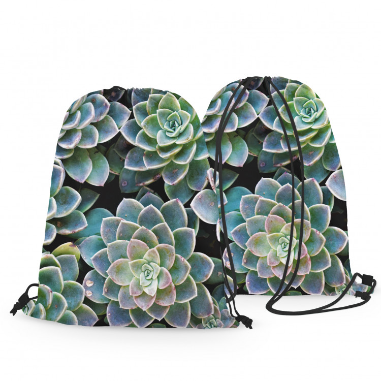 Mochila Symmetry of succulents - a plant composition with rich detailing 147379 additionalImage 3