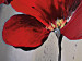 Quadro contemporaneo Papaveri rossi (3 parti) - motivo botanico su sfondo grigio nuvoloso 47479 additionalThumb 3