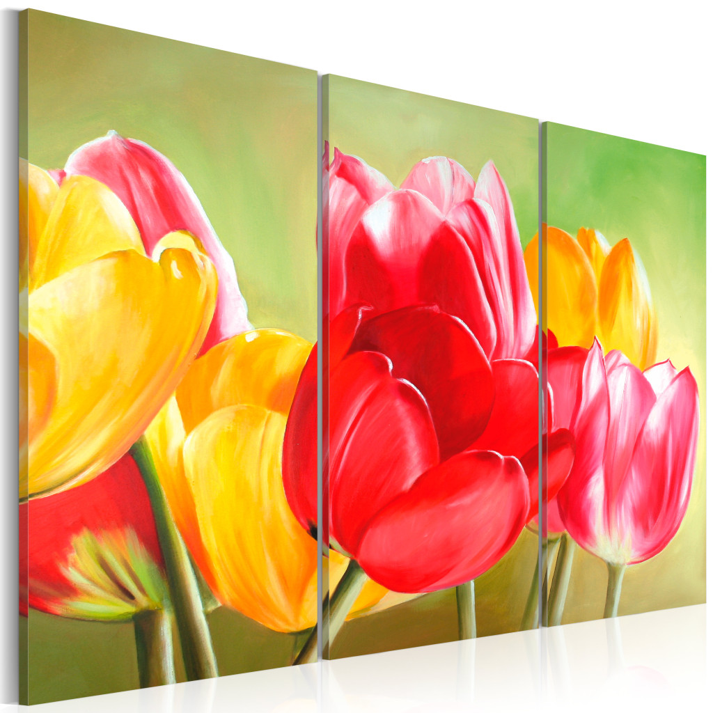 Schilderij  Tulpen: Opnieuw Bloeiende Tulpen (3-delig) - Kleurrijke Bloemen Op Een Groene Achtergrond