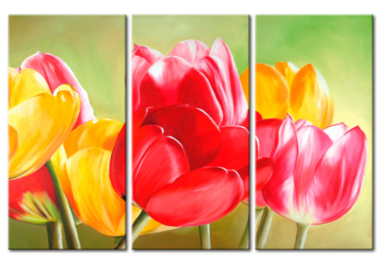 Cuadro Nuevamente florecieron los tulipanes (3 piezas) - flores coloridas en verde 48679