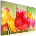 Toile déco Tulipes refleuries (3 pièces) - Fleurs colorées sur fond vert 48679 additionalThumb 2