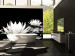 Wall Mural Beauty of Plants - Floating White Water Lilies on a Black Background 60179