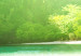 Mural Floresta paradisíaca - paisagem com mar azul e barcos tailandeses 96079 additionalThumb 4