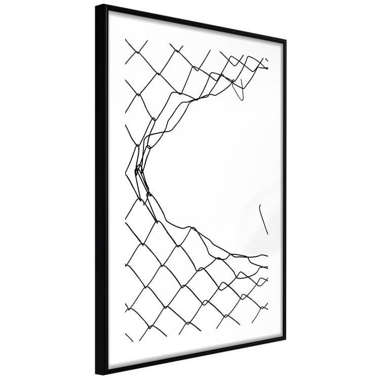  Torn Net [Poster] 116789 additionalImage 9