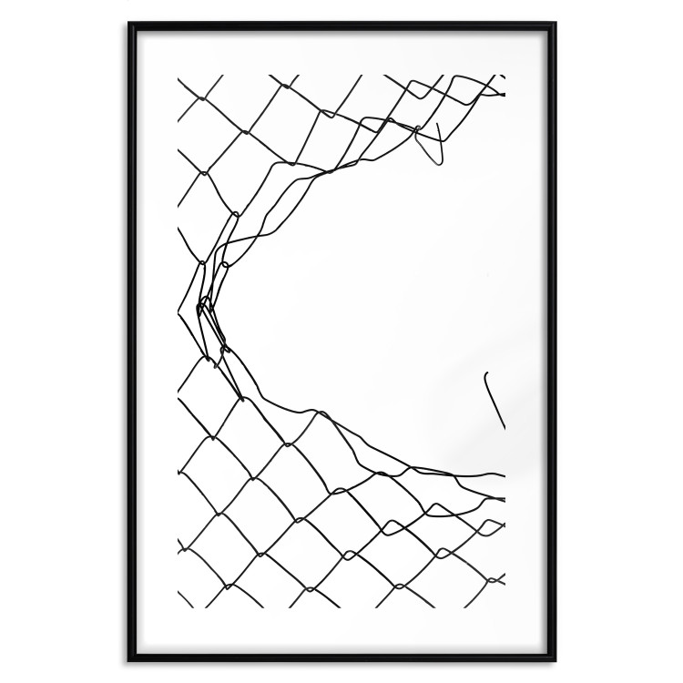  Torn Net [Poster] 116789 additionalImage 38