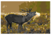 Malen nach Zahlen Bild Deer on Rut 117189 additionalThumb 7