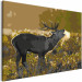 Paint by Number Kit Deer on Rut 117189 additionalThumb 5