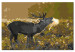Cuadro para pintar por números Deer on Rut 117189 additionalThumb 6