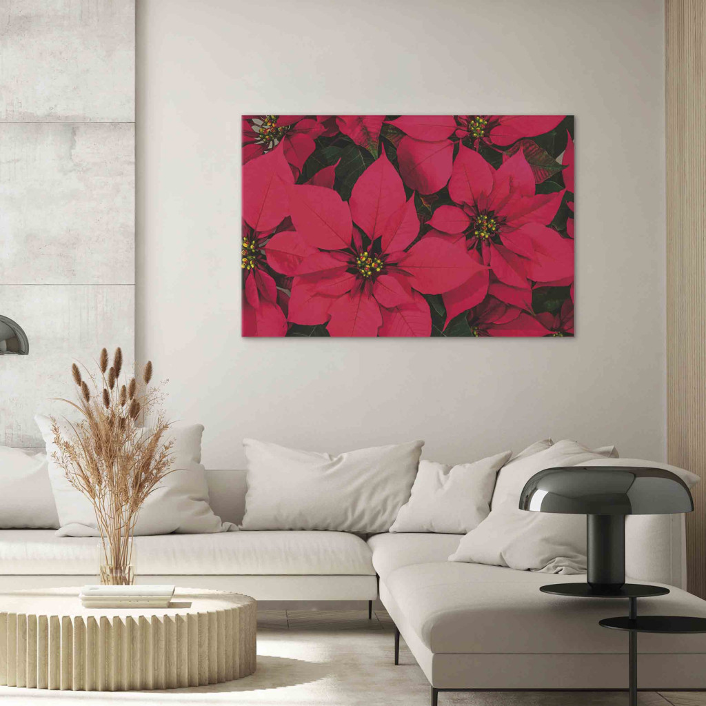 Quadro Em Tela Beauty Of Christmas - Composition With Red Flowers Of The Star Of Bethlehem