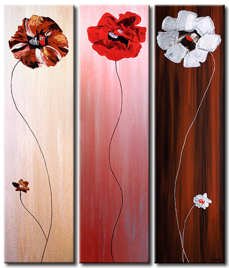 Obraz Trzy maki (3-częściowy) - kwiaty na jednolitym tle w trzech kolorach 48589
