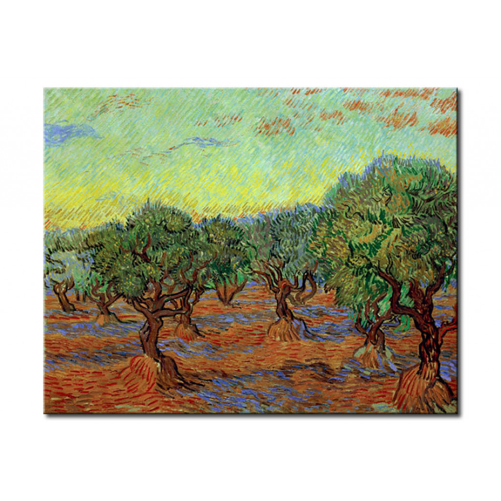 Schilderij  Vincent Van Gogh: Olive Hain