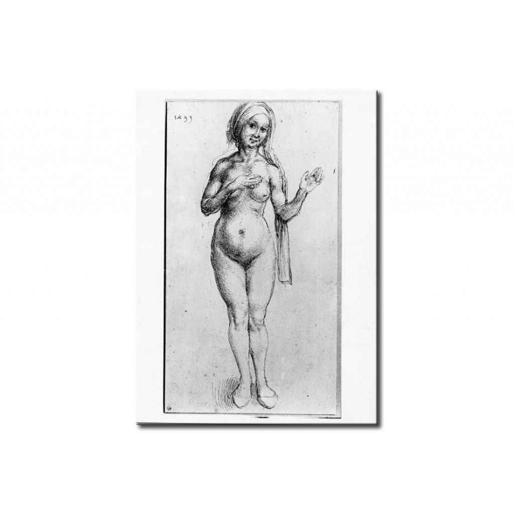 Schilderij  Albrecht Dürer: Naked Woman