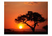 Wall Mural Africa: sunset 60489 additionalThumb 1
