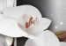 Canvas Art Print Shiny Orchids 104999 additionalThumb 5