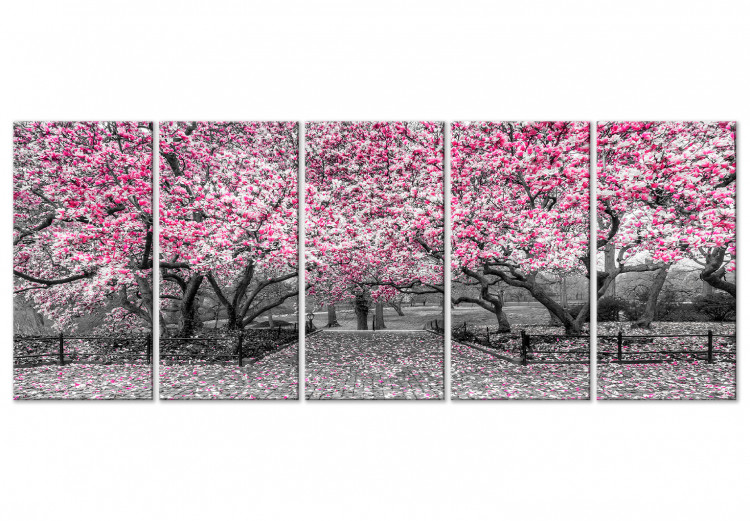Cuadro en lienzo Magnolia Park (5 Parts) Narrow Pink