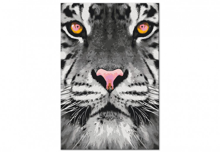 Obraz do malowania po numerach Dostojny biały tygrys 138499 additionalImage 3