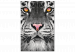 Obraz do malowania po numerach Dostojny biały tygrys 138499 additionalThumb 5