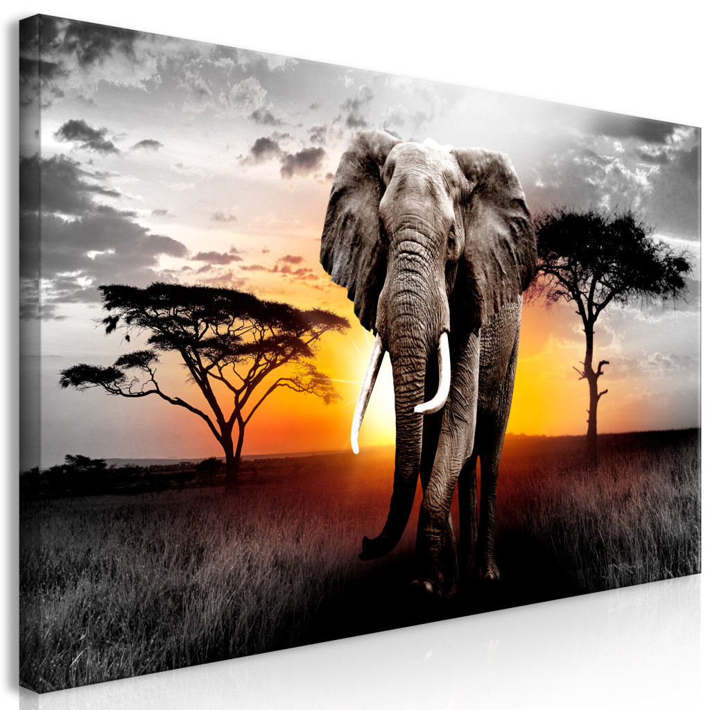 Schilderij Elephant On The Savannah II [Large Format]
