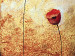Cuadro moderno Amapolas rojas (5 piezas) - abstracción de la naturaleza y tema floral 46999 additionalThumb 3
