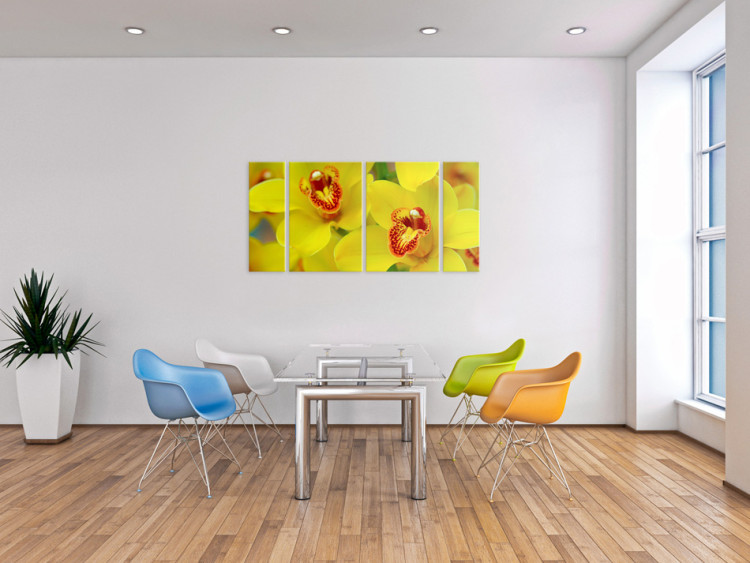 Cadre moderne Orchids - intensity of yellow color 50499 additionalImage 3